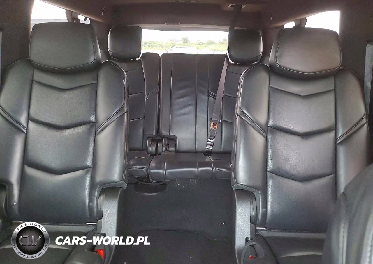 2018 Cadillac Escalade Esv Platinum VIN:1GYS4KKJ1JR276371 - 10