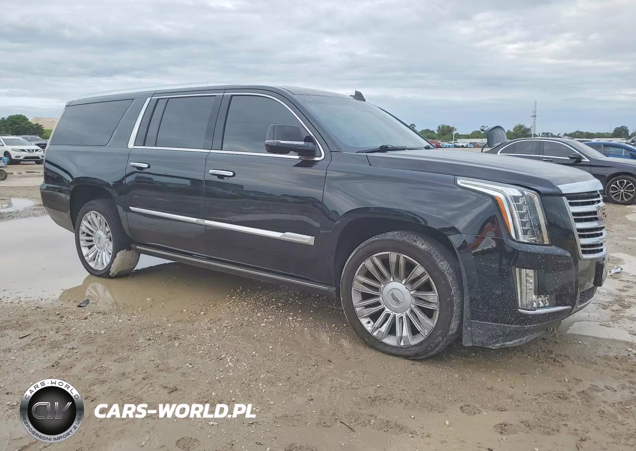 2018 Cadillac Escalade Esv Platinum VIN:1GYS4KKJ1JR276371 - 4