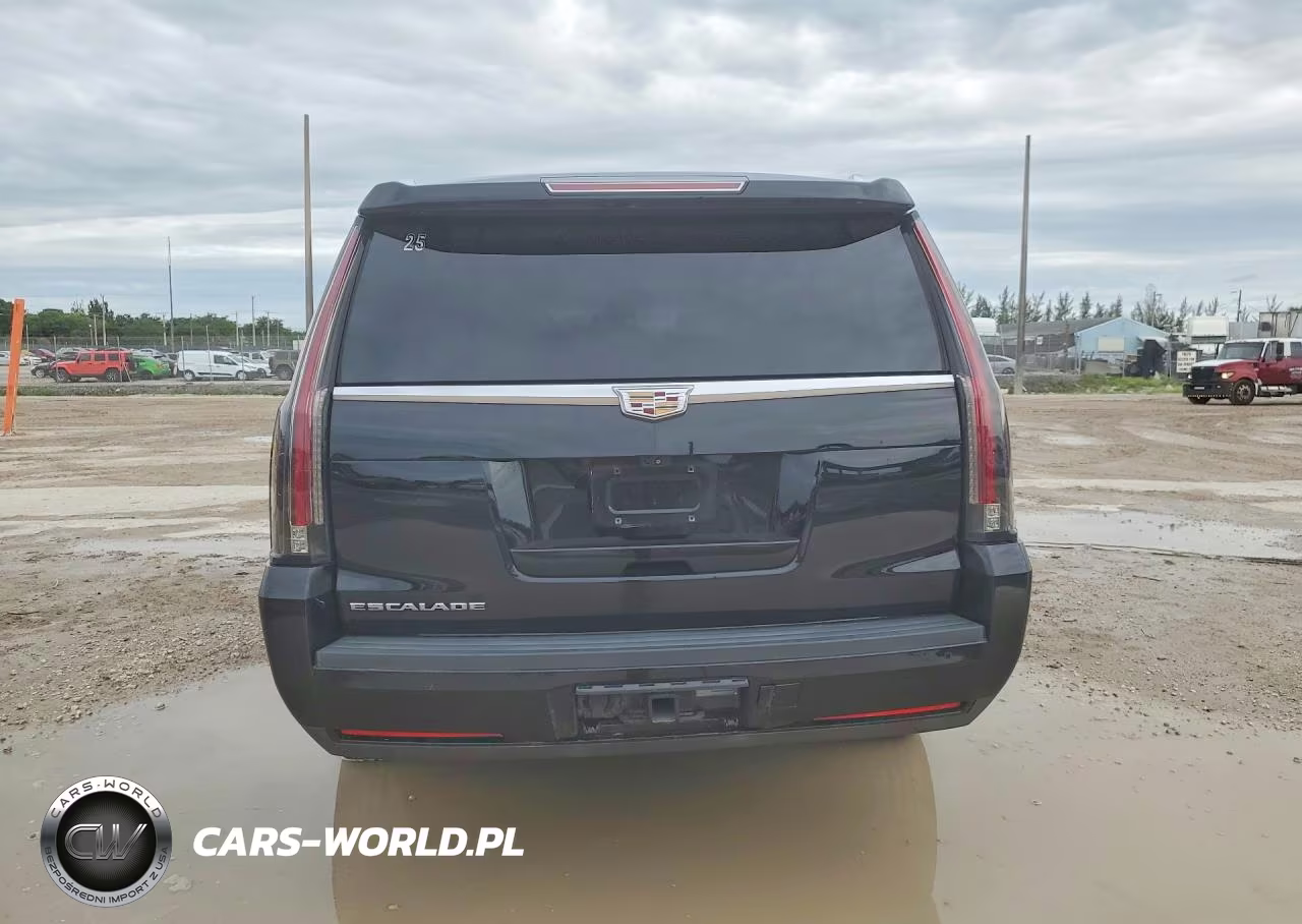 2018 Cadillac Escalade Esv Platinum VIN:1GYS4KKJ1JR276371 - 6