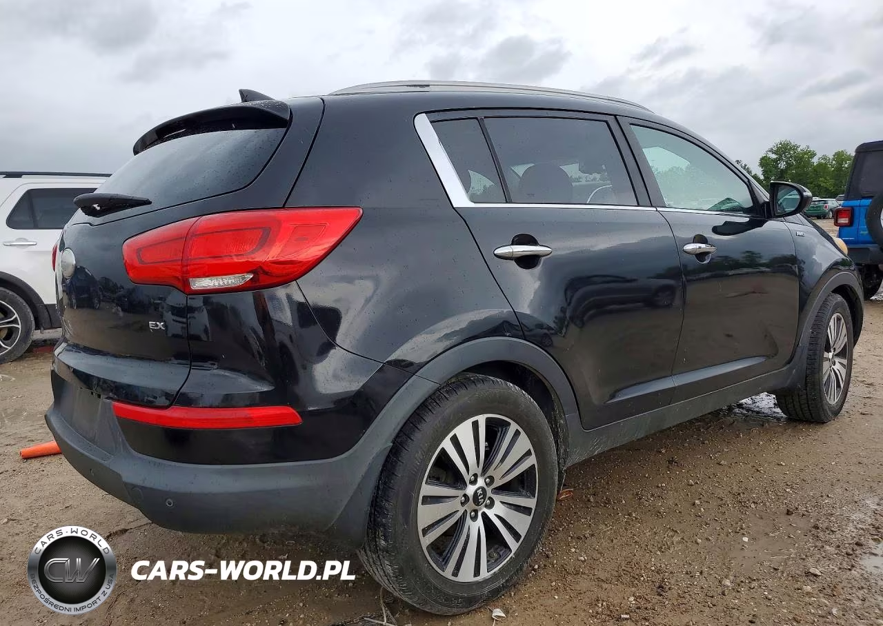 2015 Kia Sportage Ex VIN:KNDPCCAC7F7684254 - 3