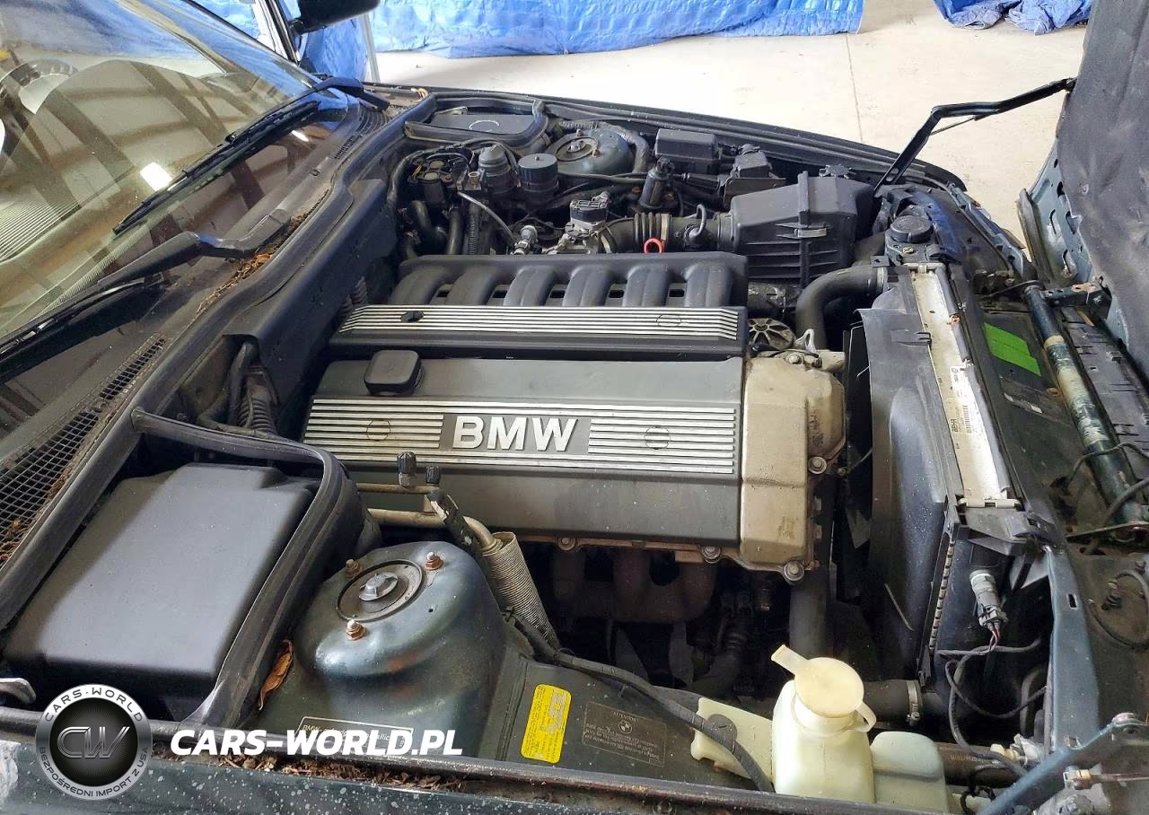 1994 BMW 525 I Automatic VIN:WBAHD6322RGK42538 - 11