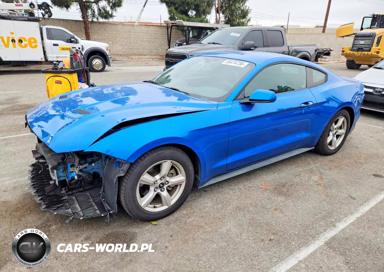 2019 Ford Mustang