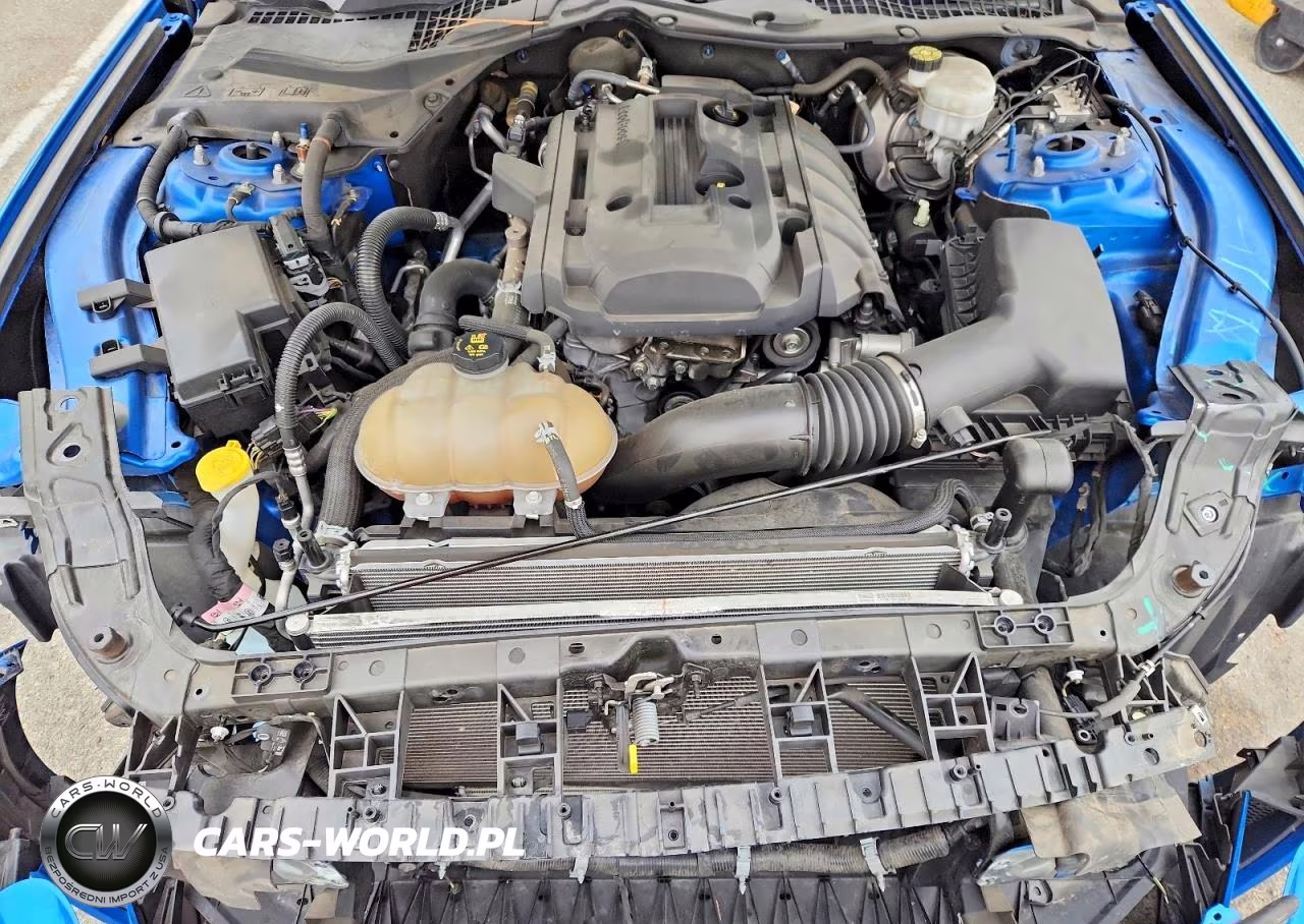 2019 Ford Mustang VIN:1FA6P8TH6K5118913 - 11