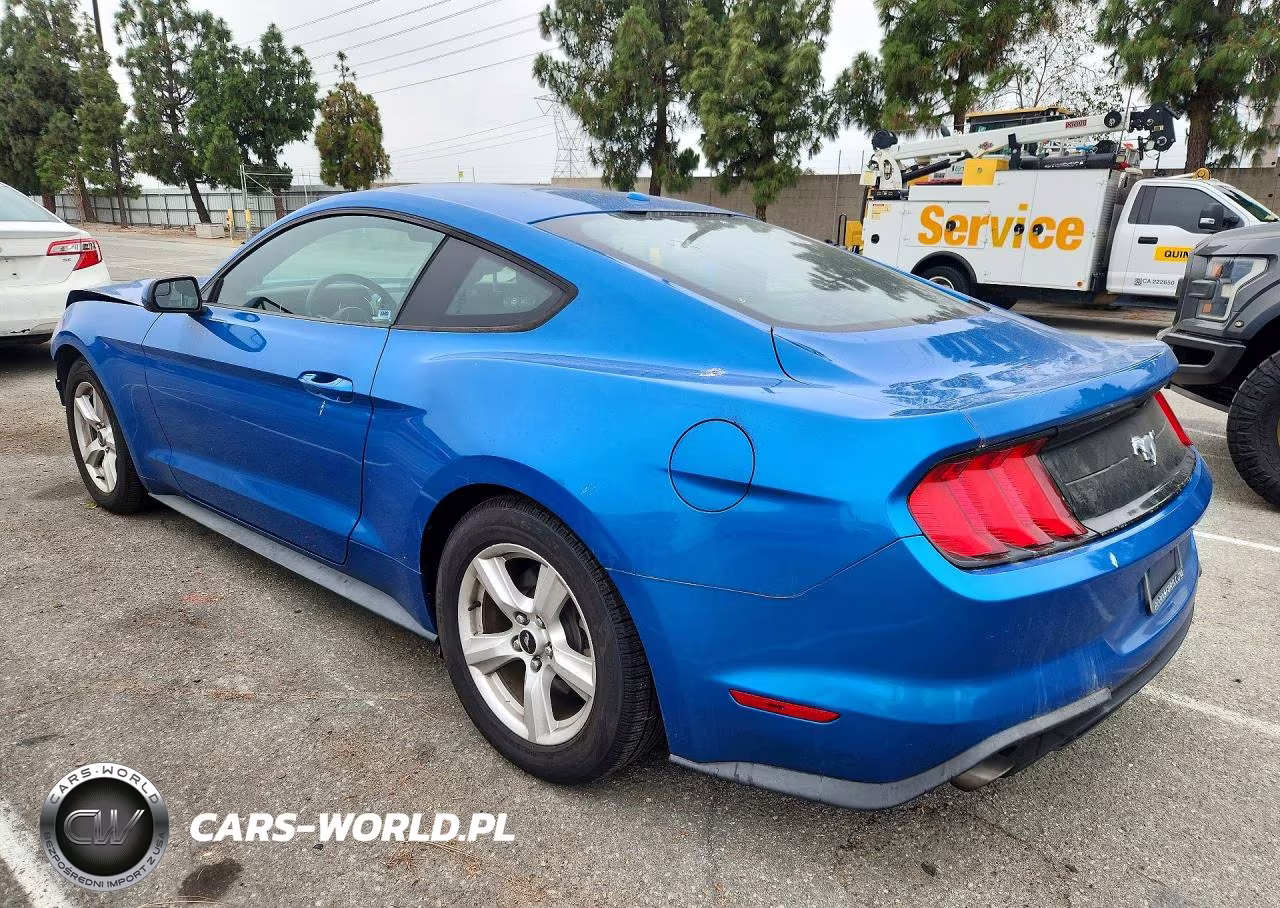 2019 Ford Mustang VIN:1FA6P8TH6K5118913 - 2