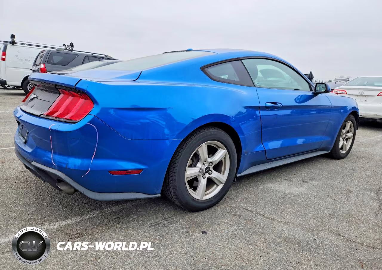 2019 Ford Mustang VIN:1FA6P8TH6K5118913 - 3