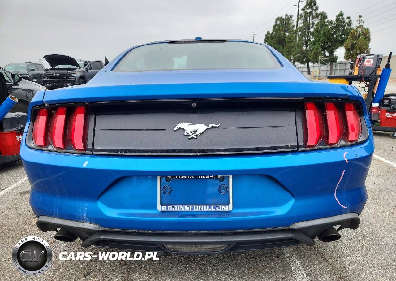 2019 Ford Mustang VIN:1FA6P8TH6K5118913 - 6