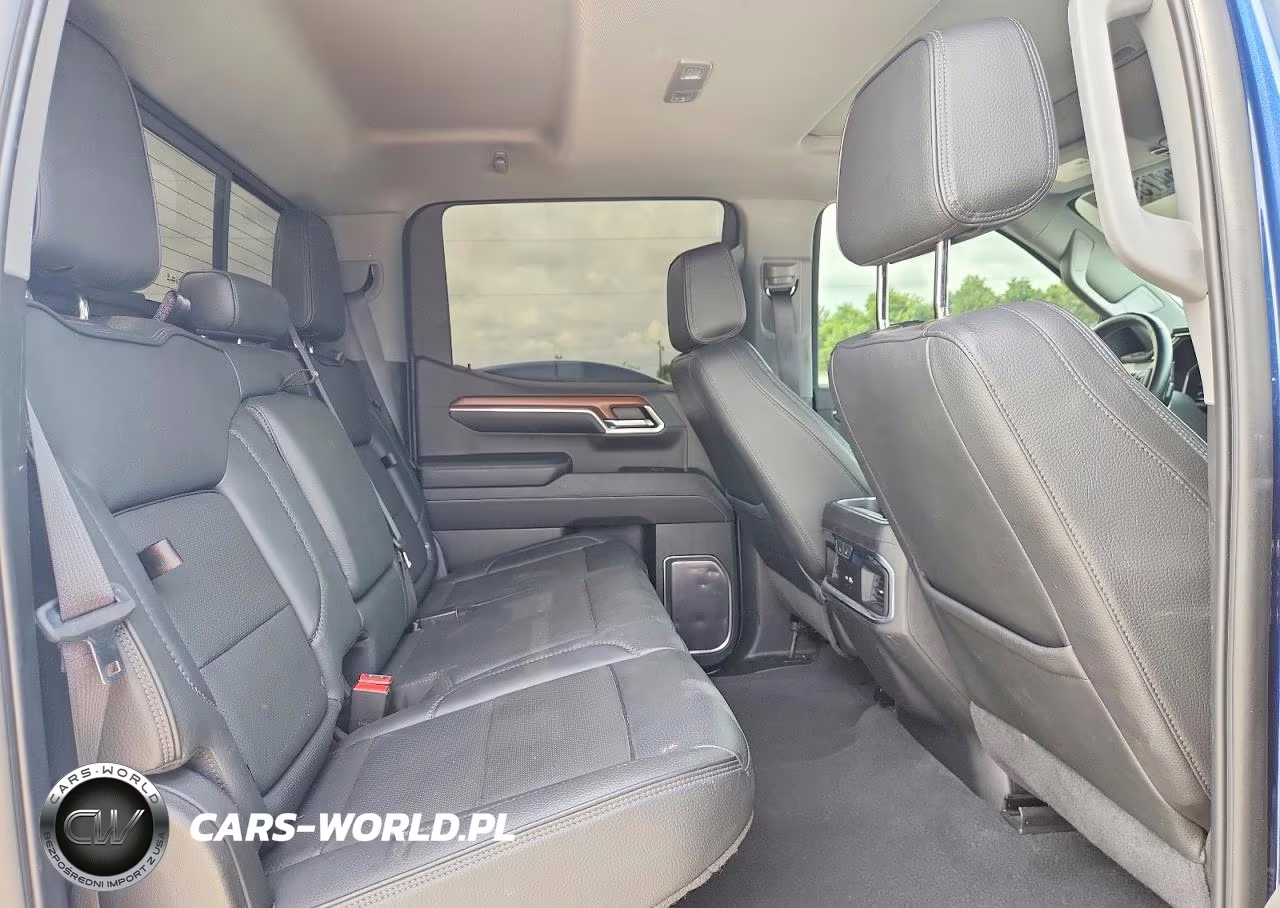 2023 GMC Sierra K1500 Denali VIN:3GTUUGED3PG252020 - 10