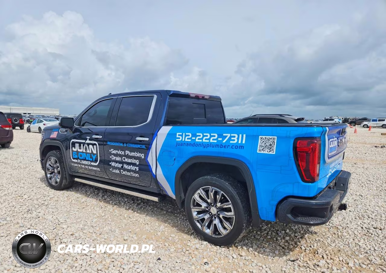 2023 GMC Sierra K1500 Denali VIN:3GTUUGED3PG252020 - 2