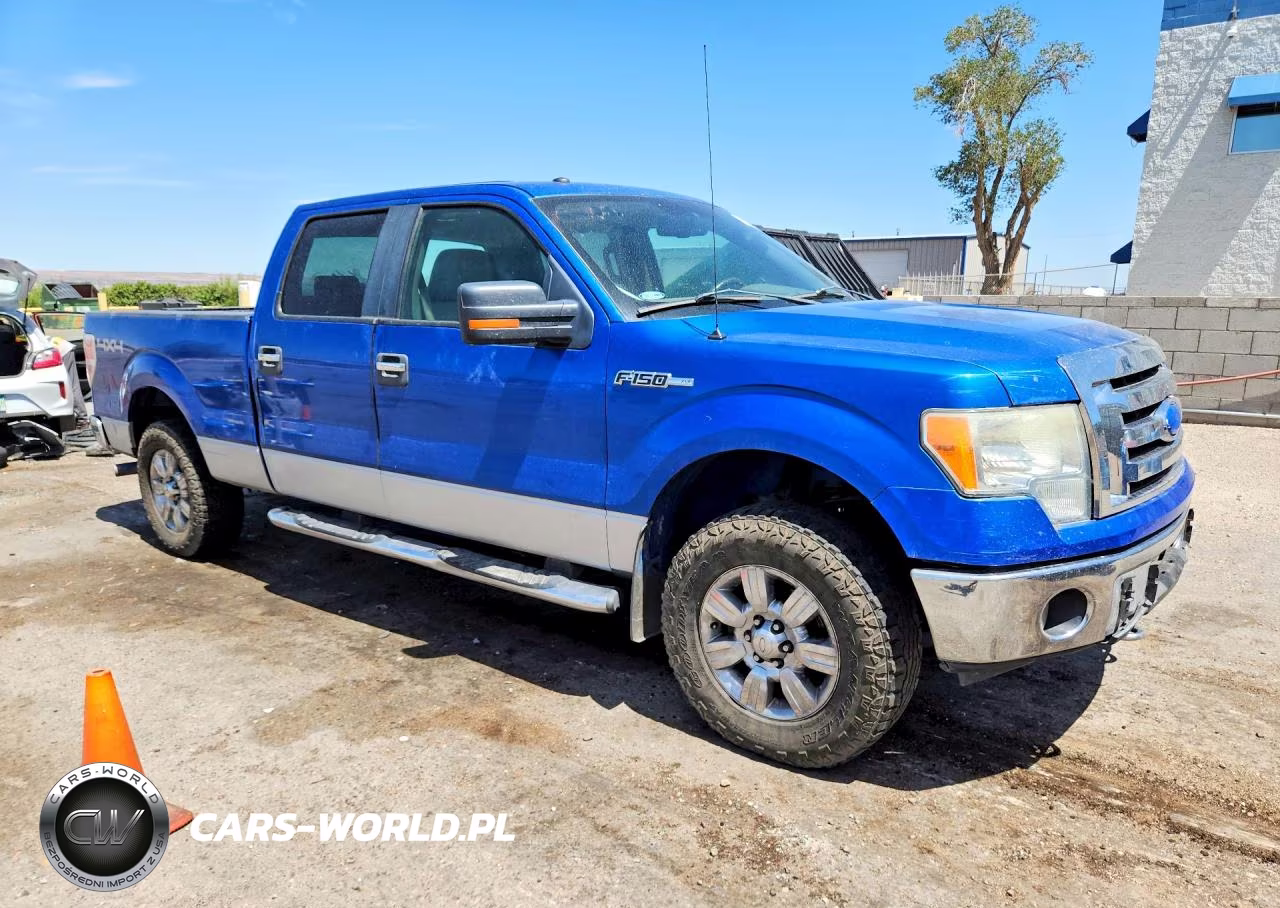 2009 Ford F150 Supercrew VIN:1FTPW14V29KA74515 - 4