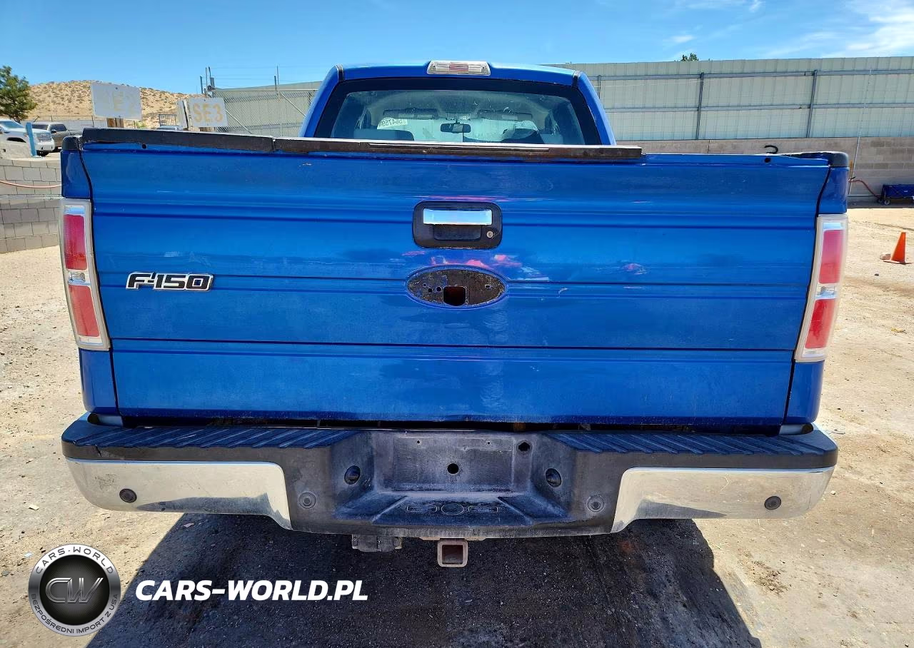 2009 Ford F150 Supercrew VIN:1FTPW14V29KA74515 - 6