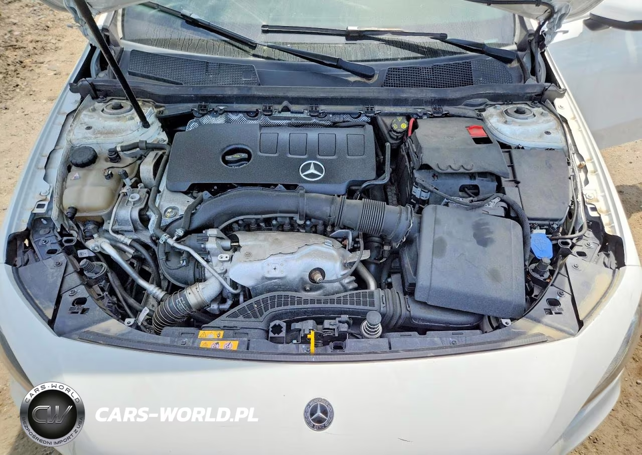 2019 Mercedes-Benz A 220 4Matic VIN:WDD3G4FB9KW002697 - 11