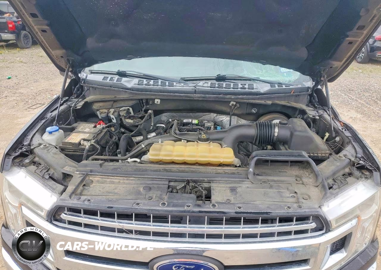 2020 Ford F150 Supercrew VIN:1FTEW1CP7LKE58968 - 12