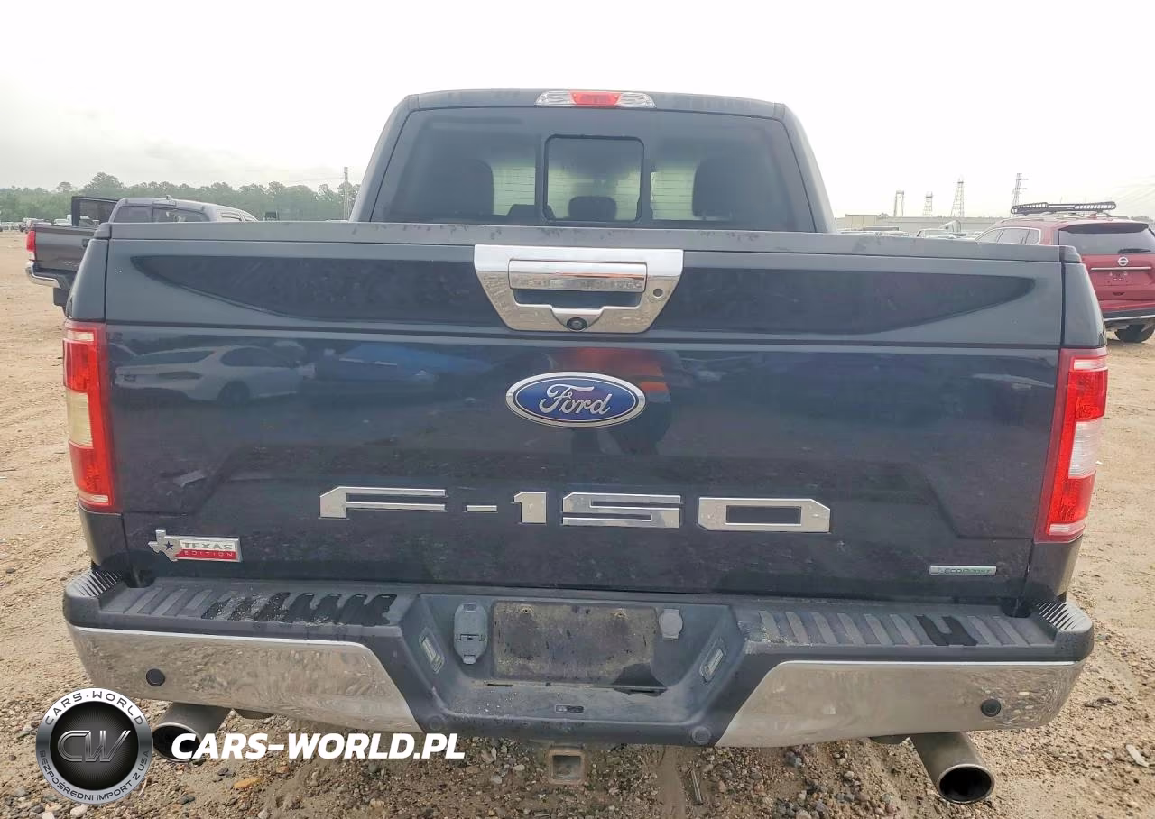 2020 Ford F150 Supercrew VIN:1FTEW1CP7LKE58968 - 6