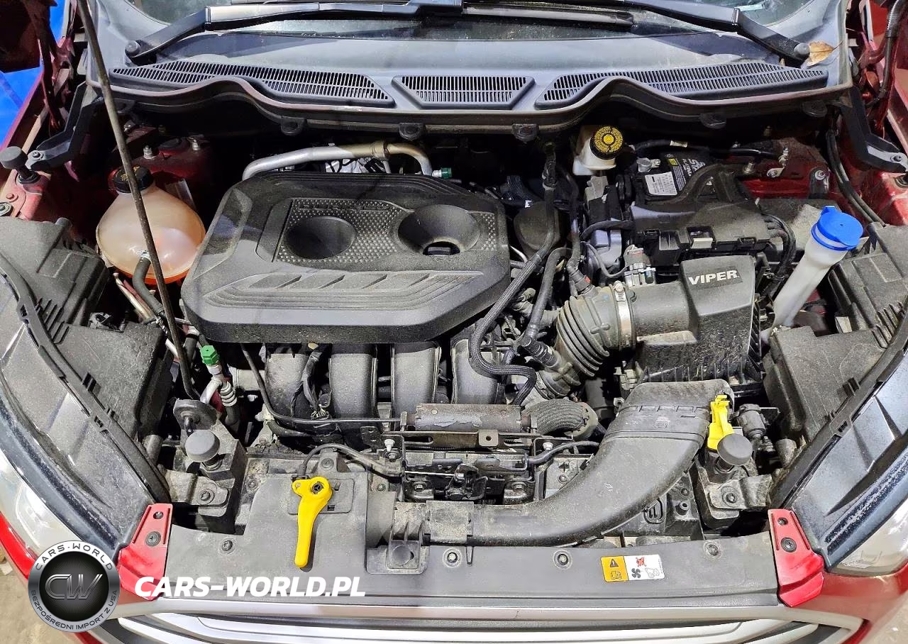 2019 Ford Ecosport Se VIN:MAJ6S3GL8KC275094 - 12