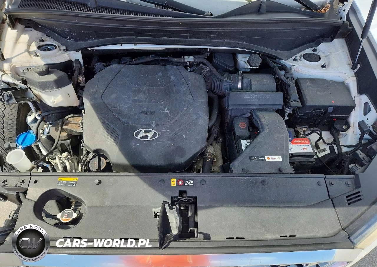 2020 Hyundai Palisade Sel VIN:KM8R34HE0LU072024 - 12