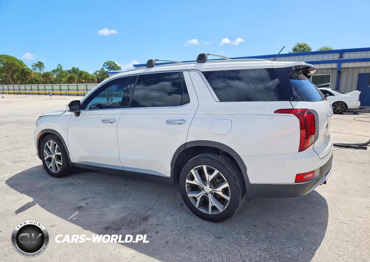 2020 Hyundai Palisade Sel VIN:KM8R34HE0LU072024 - 2