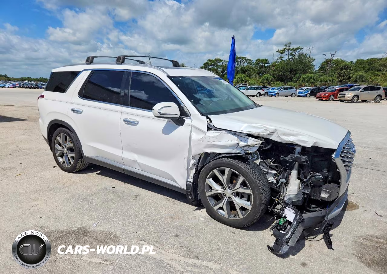 2020 Hyundai Palisade Sel VIN:KM8R34HE0LU072024 - 4