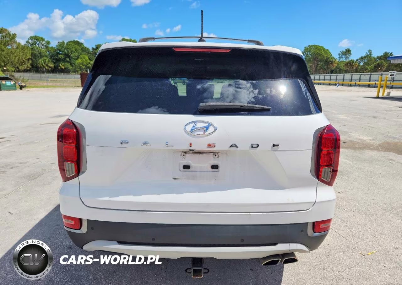2020 Hyundai Palisade Sel VIN:KM8R34HE0LU072024 - 6