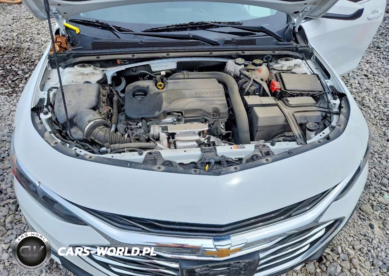 2023 Chevrolet Malibu Lt VIN:1G1ZD5ST0PF233733 - 11