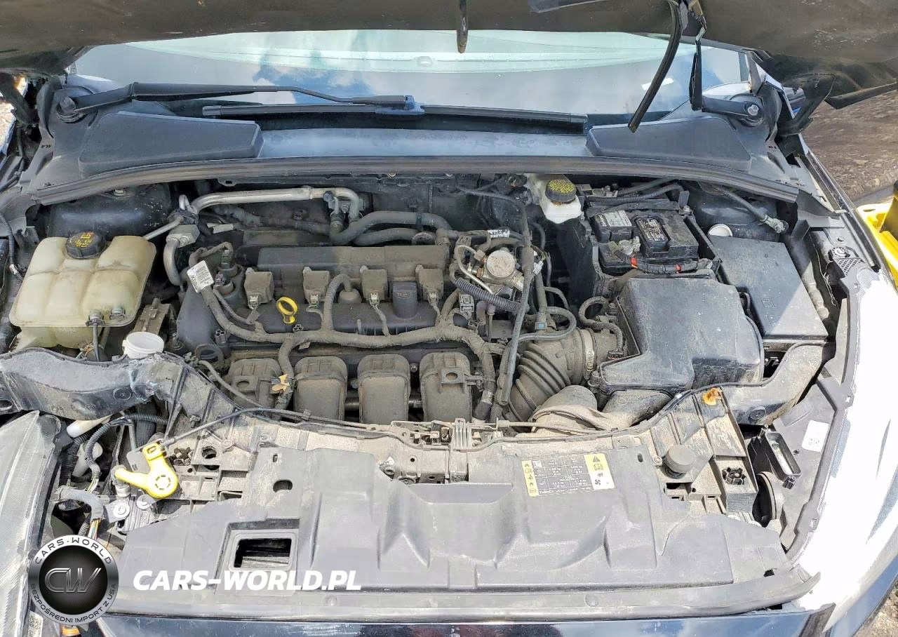 2018 Ford Focus Se VIN:1FADP3F24JL202885 - 11