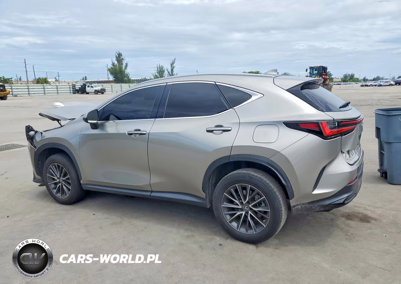 2023 Lexus Nx 250 VIN:2T2ADCAZ0PC005170 - 2