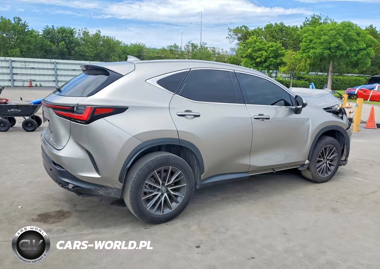 2023 Lexus Nx 250 VIN:2T2ADCAZ0PC005170 - 3