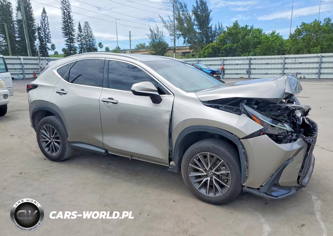 2023 Lexus Nx 250 VIN:2T2ADCAZ0PC005170 - 4