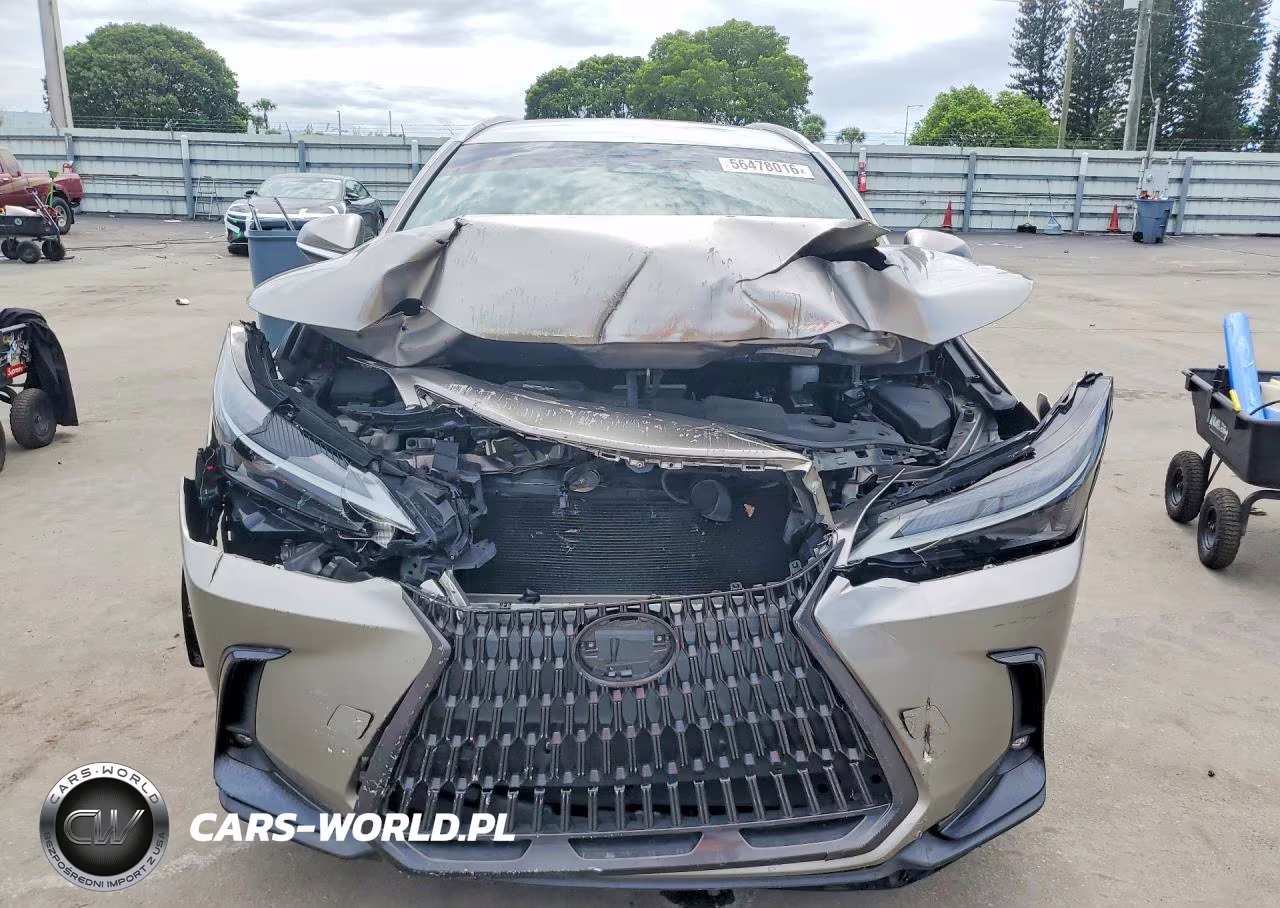 2023 Lexus Nx 250 VIN:2T2ADCAZ0PC005170 - 5
