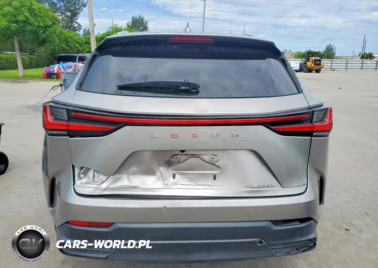 2023 Lexus Nx 250 VIN:2T2ADCAZ0PC005170 - 6