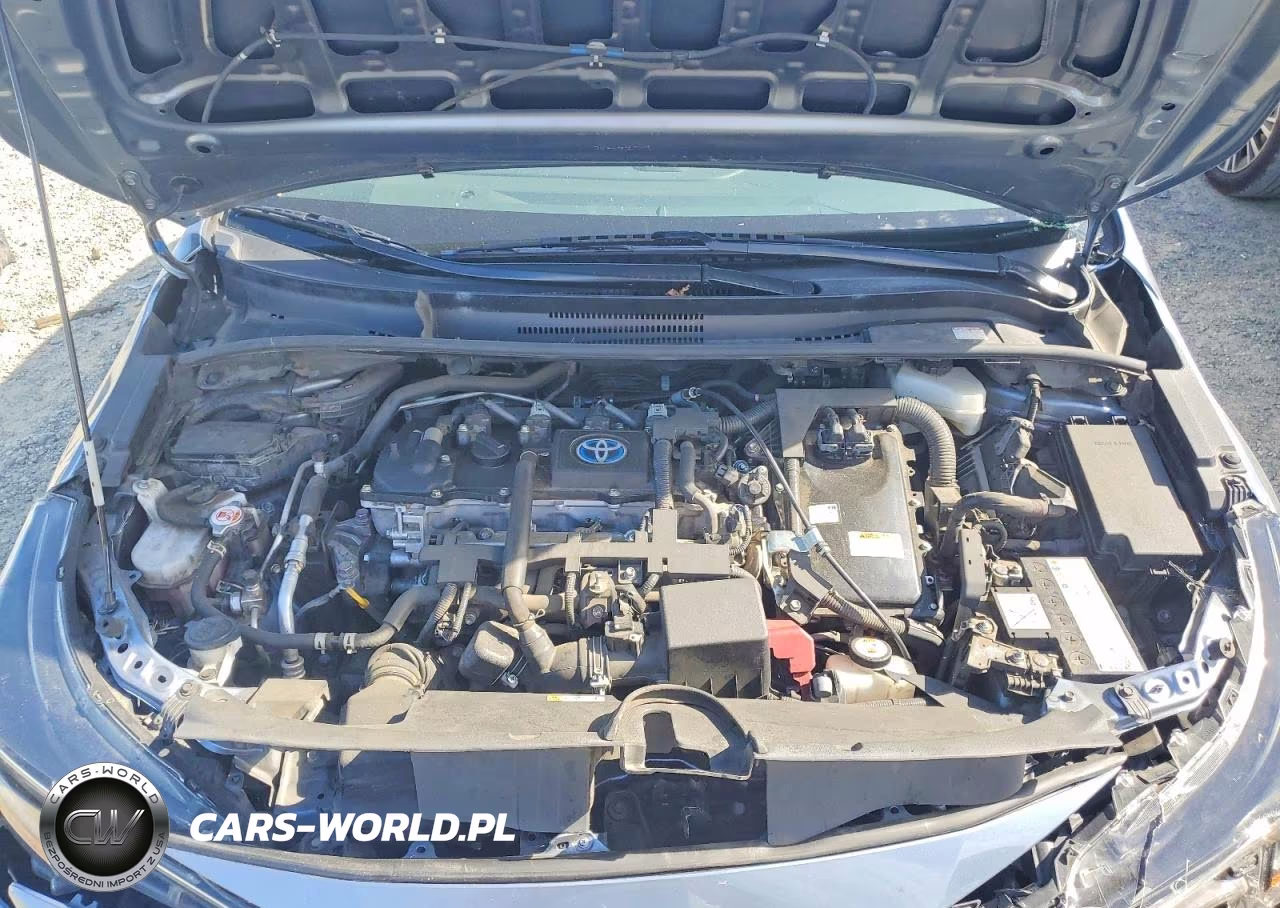 2021 Toyota Corolla Le VIN:JTDEAMDE8MJ029066 - 11