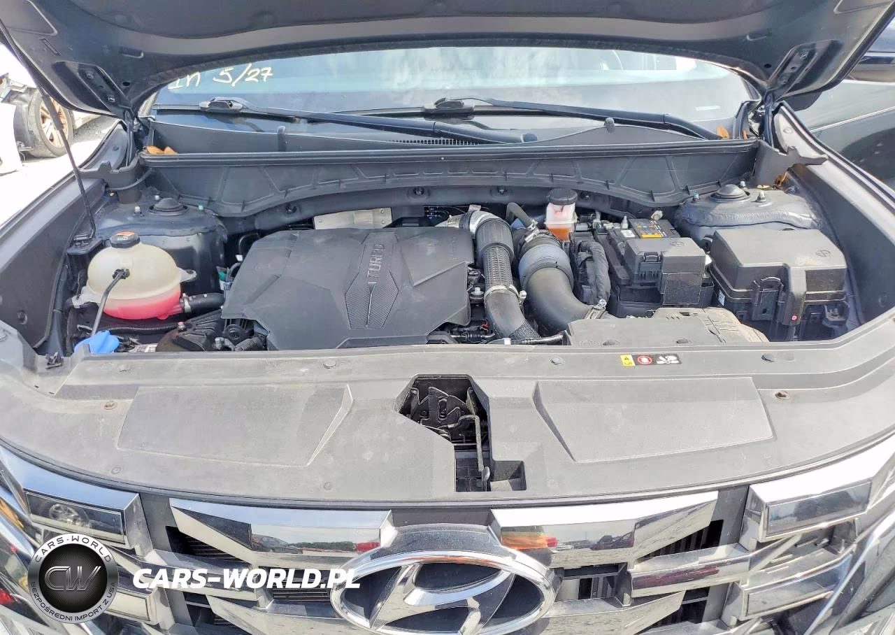 2023 Hyundai Santa Cruz Limited VIN:5NTJEDAF6PH065370 - 12