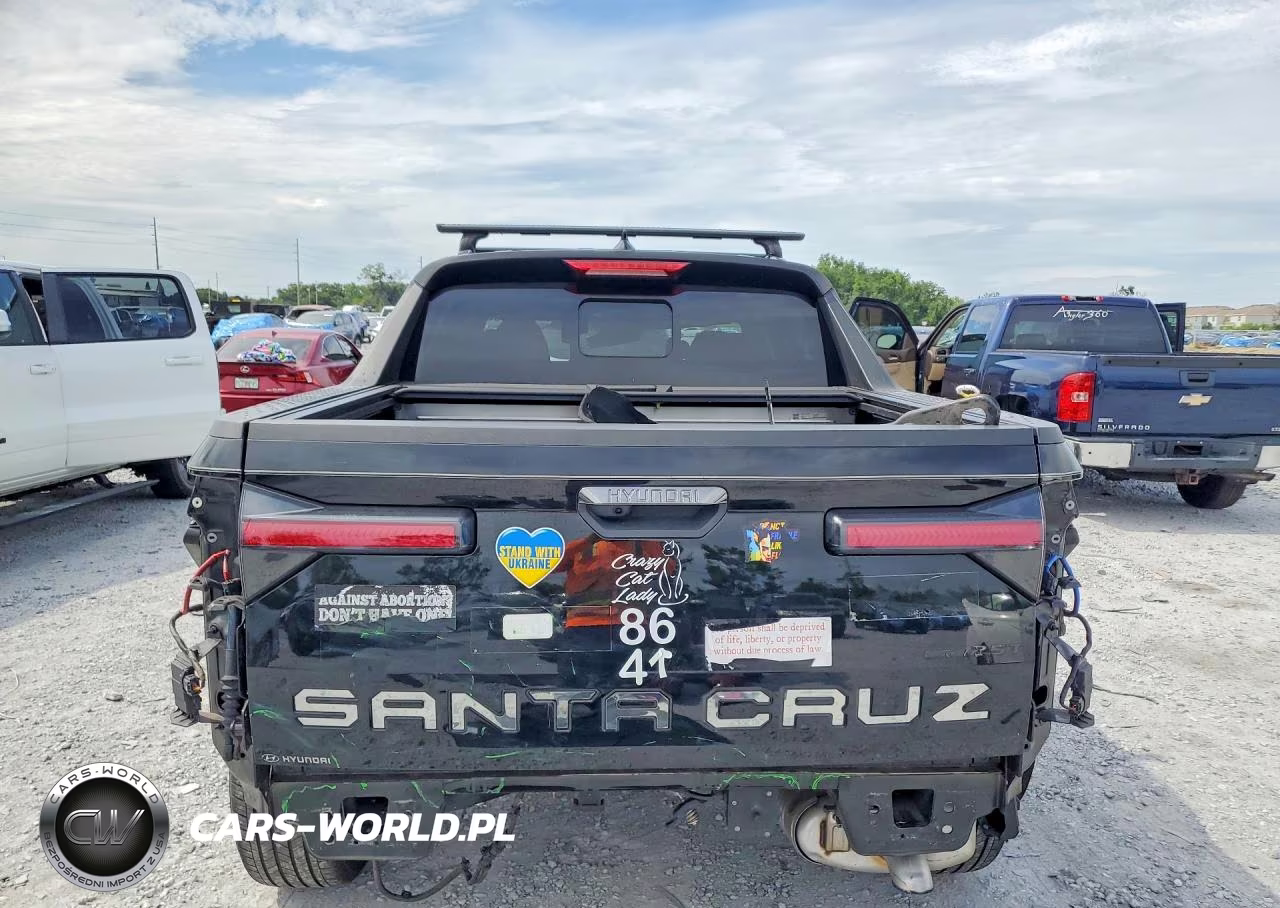 2023 Hyundai Santa Cruz Limited VIN:5NTJEDAF6PH065370 - 6