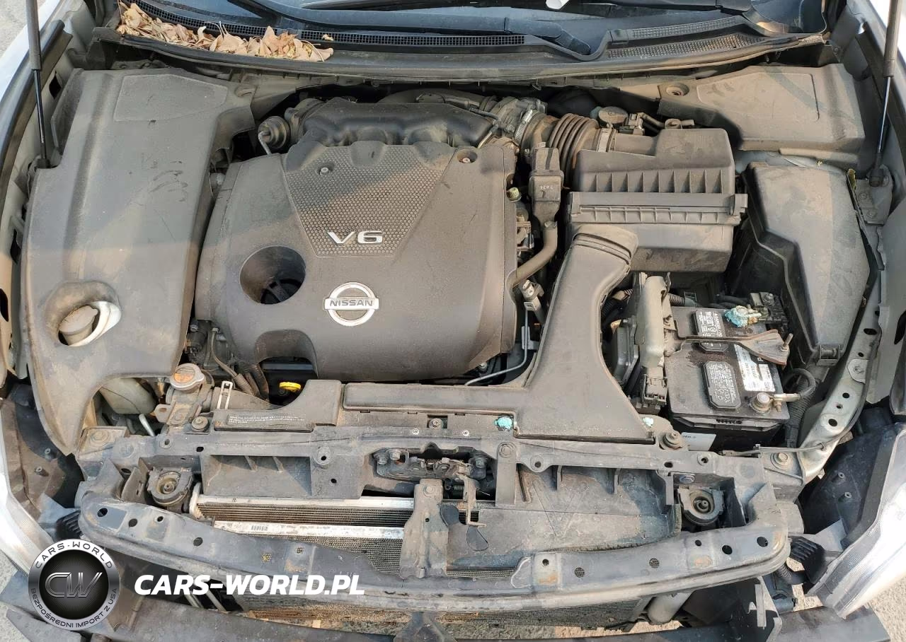 2013 Nissan Maxima VIN:1N4AA5AP4DC819162 - 11