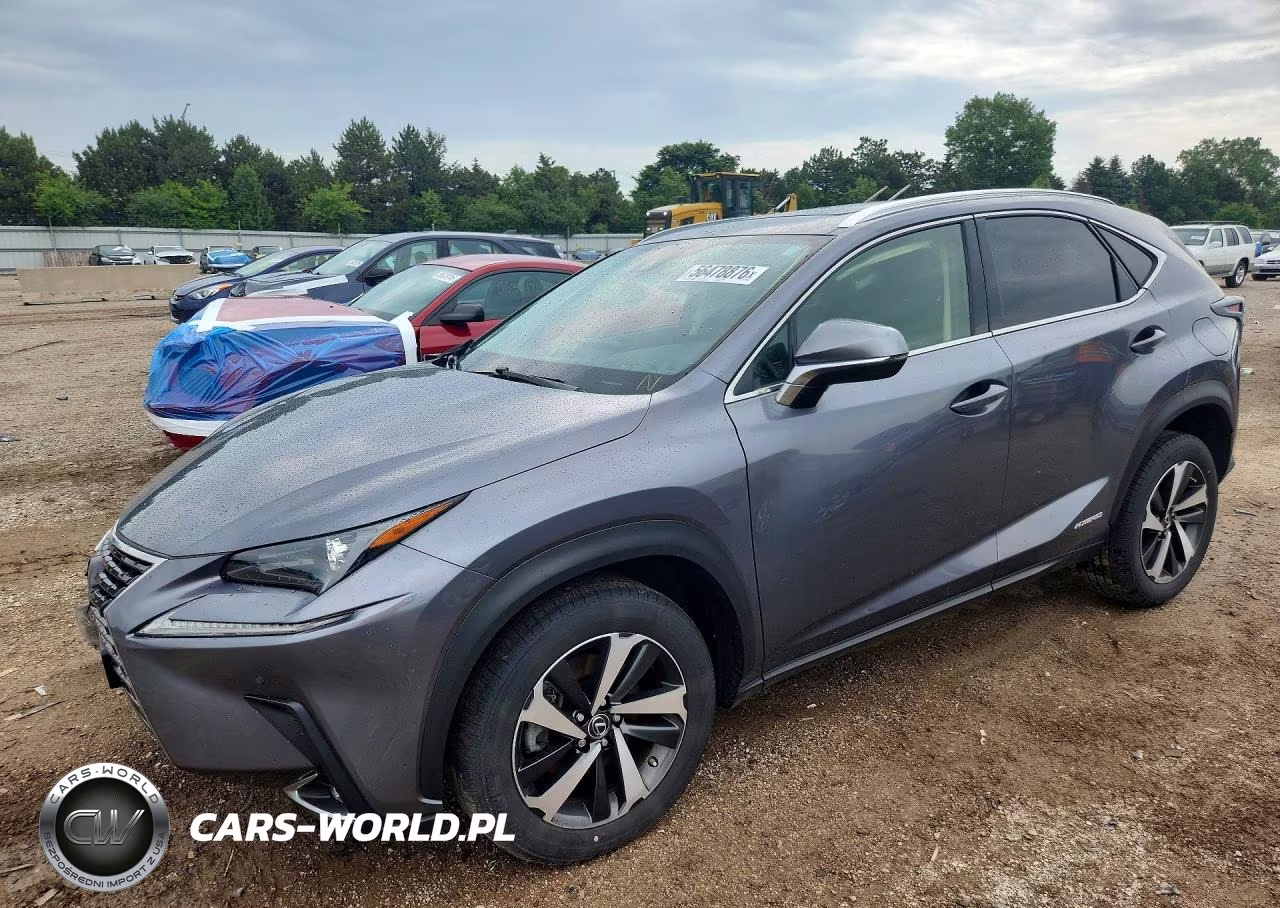 2020 Lexus Nx 300H