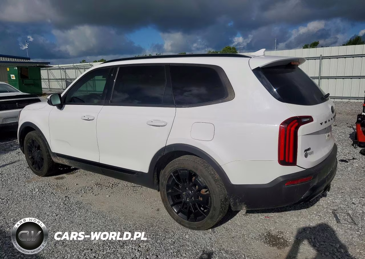 2021 Kia Telluride Ex VIN:5XYP3DHC6MG189684 - 2