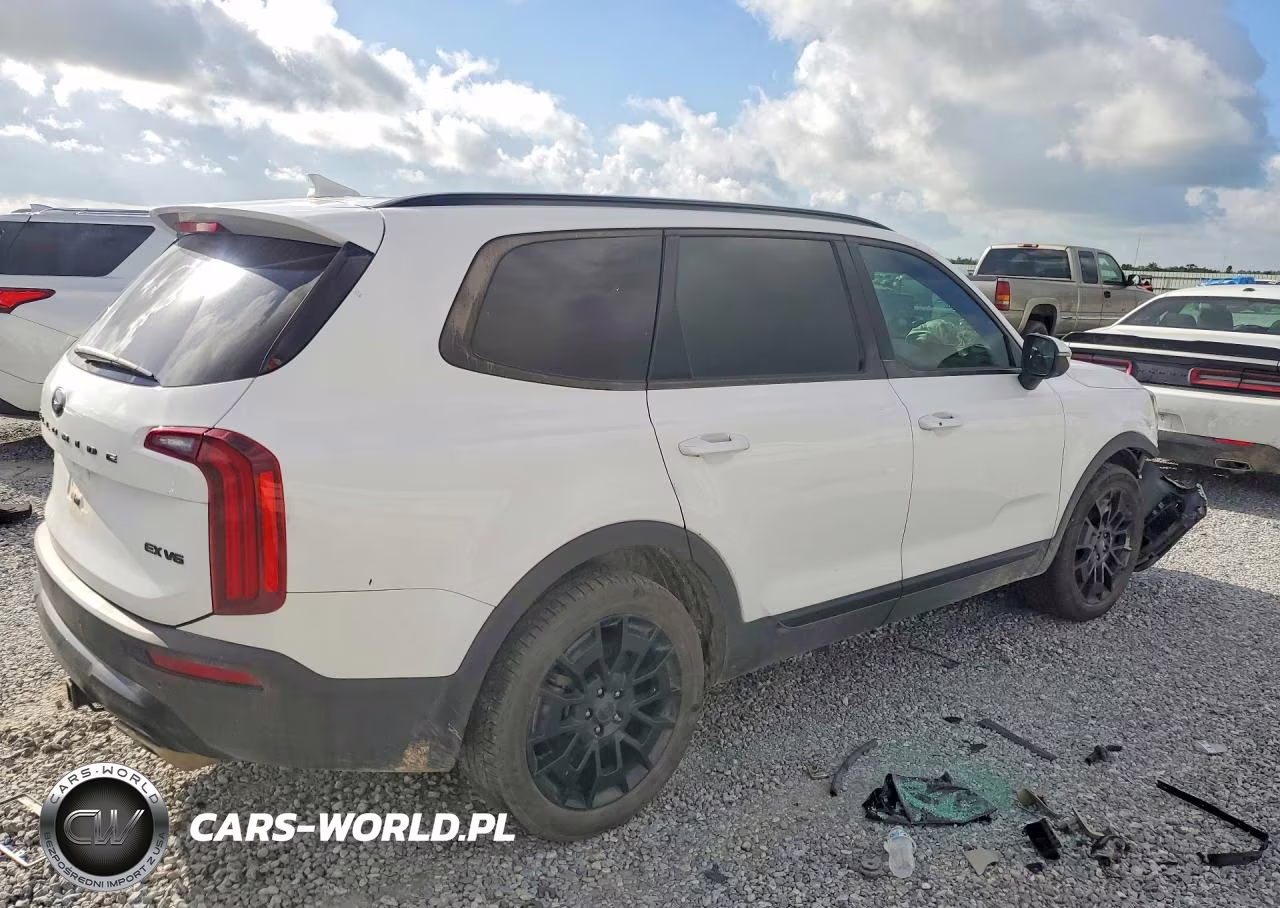 2021 Kia Telluride Ex VIN:5XYP3DHC6MG189684 - 3