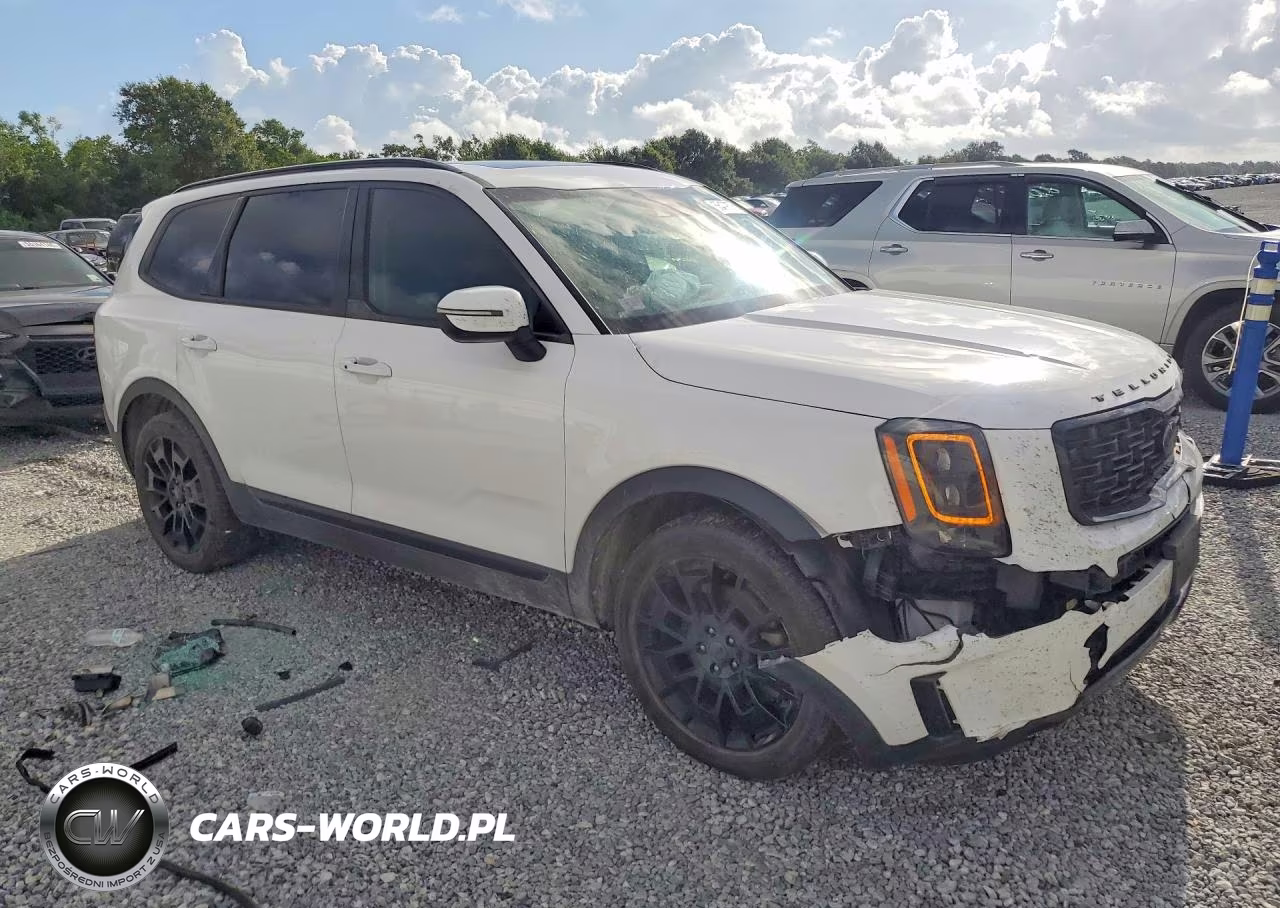 2021 Kia Telluride Ex VIN:5XYP3DHC6MG189684 - 4