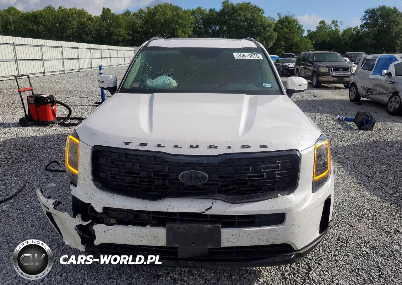 2021 Kia Telluride Ex VIN:5XYP3DHC6MG189684 - 5