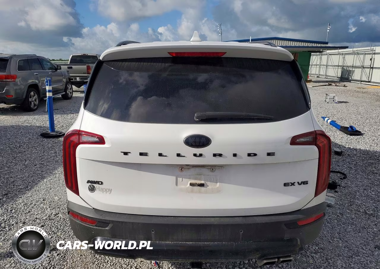 2021 Kia Telluride Ex VIN:5XYP3DHC6MG189684 - 6