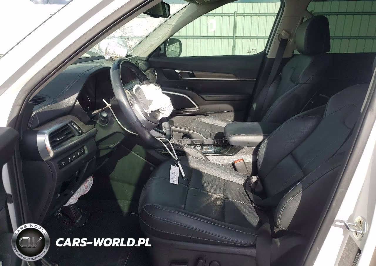 2021 Kia Telluride Ex VIN:5XYP3DHC6MG189684 - 7