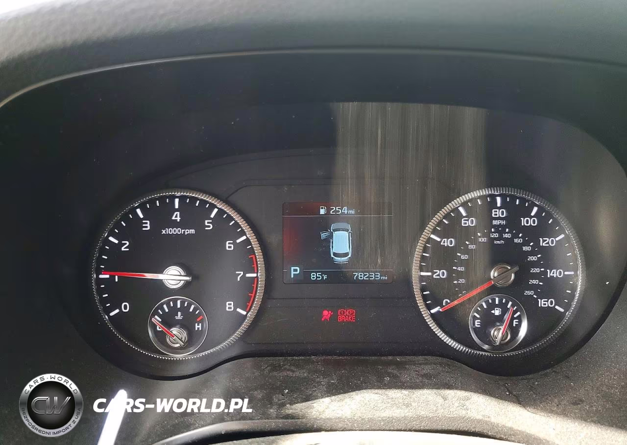 2021 Kia Telluride Ex VIN:5XYP3DHC6MG189684 - 9