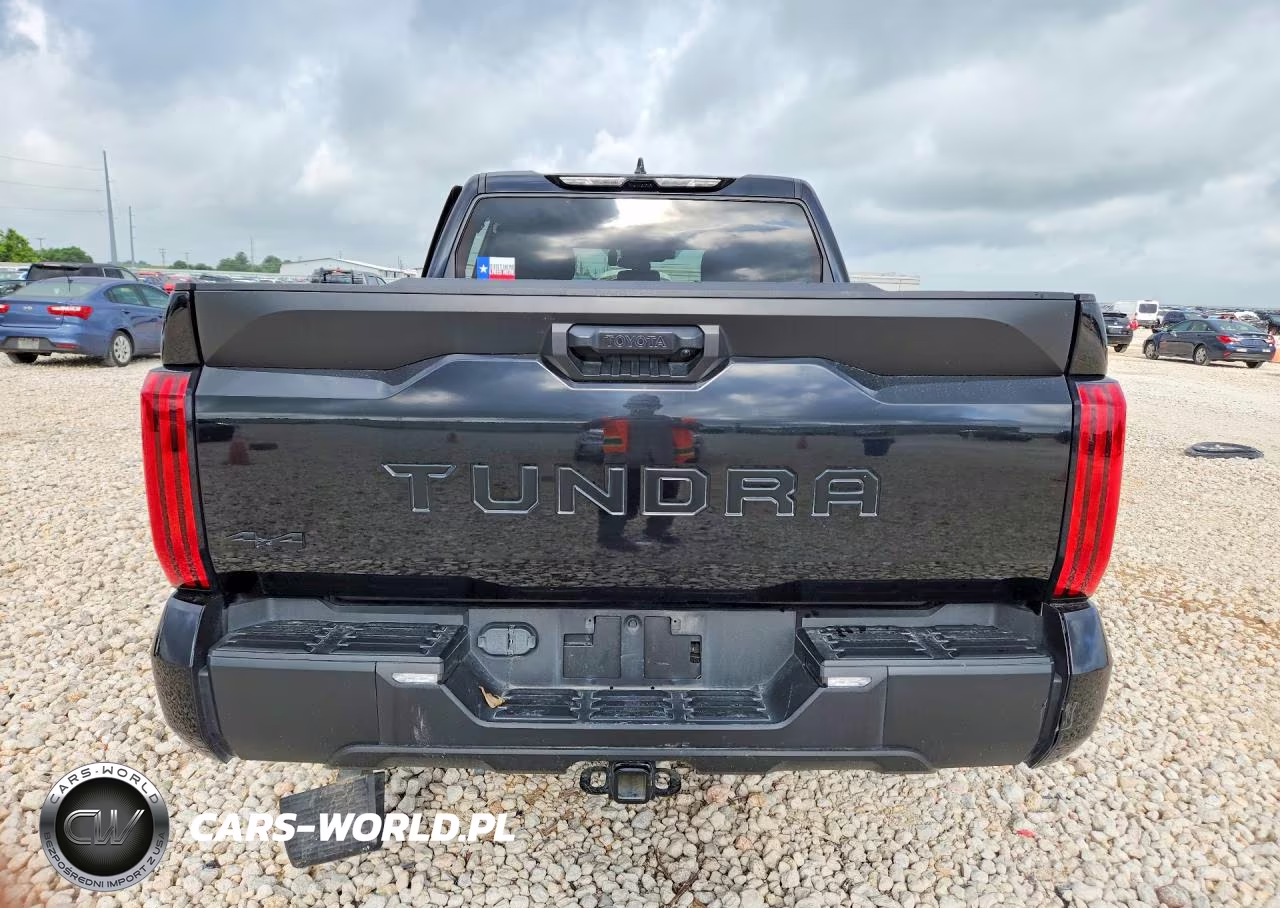 2023 Toyota Tundra Sr5 VIN:5TFLA5DB2PX124064 - 6