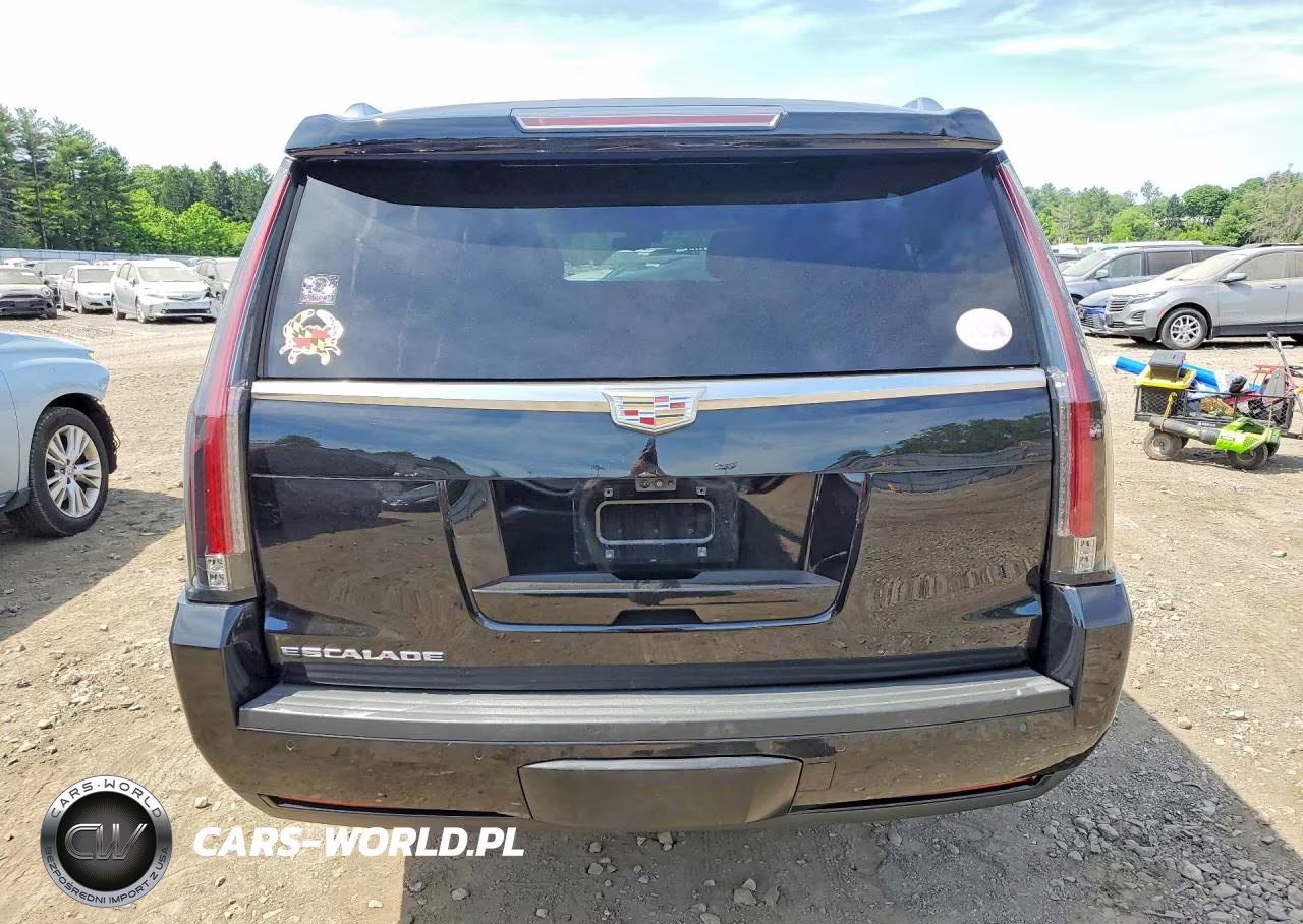 2018 Cadillac Escalade Esv Luxury VIN:1GYS4HKJXJR250354 - 6