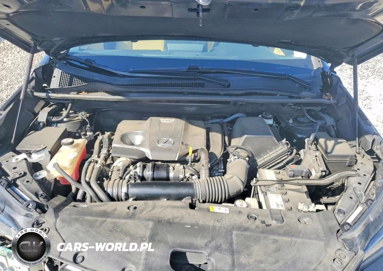 2021 Lexus Nx 300 Base VIN:JTJDARBZ2M2198618 - 12