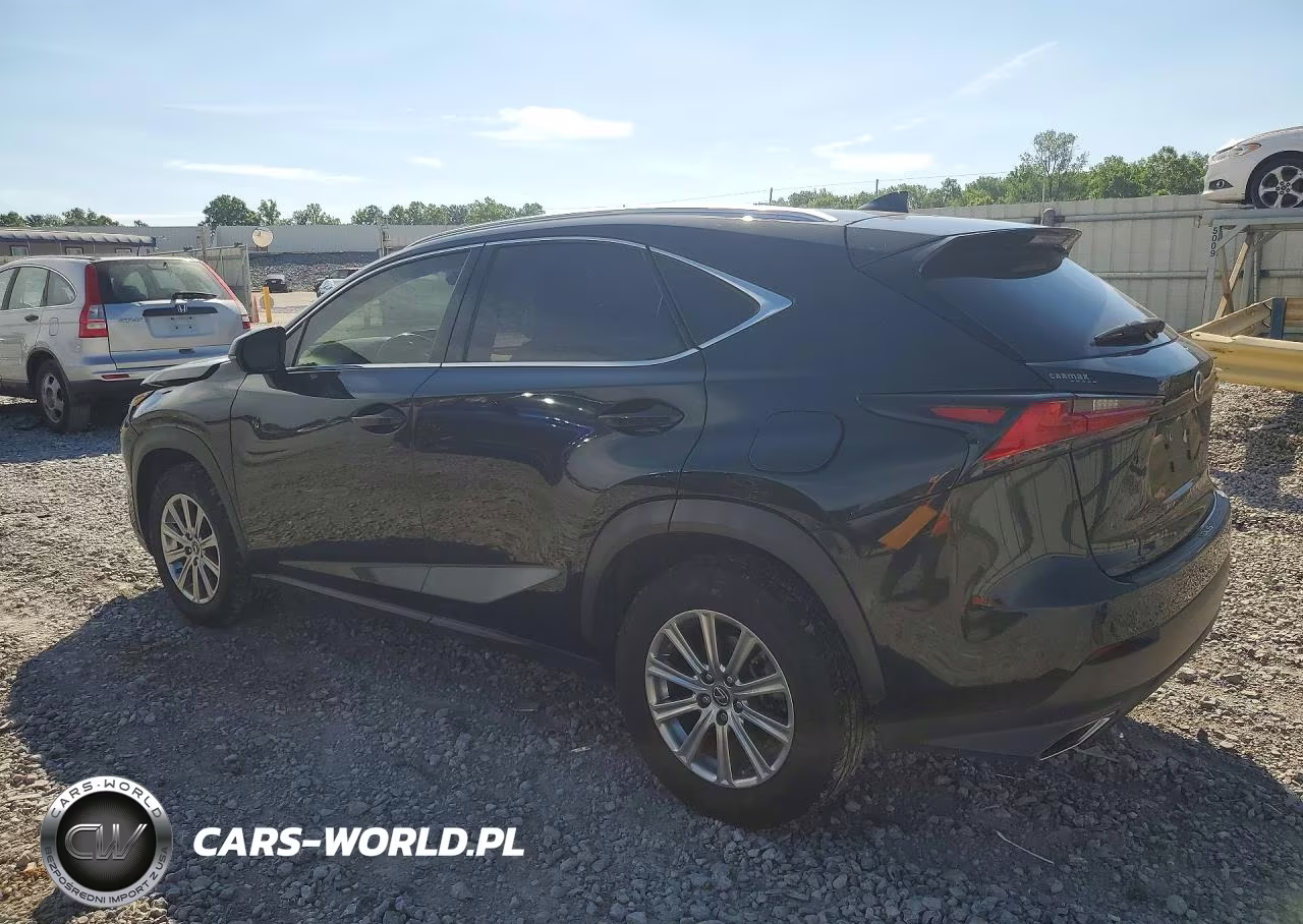 2021 Lexus Nx 300 Base VIN:JTJDARBZ2M2198618 - 2