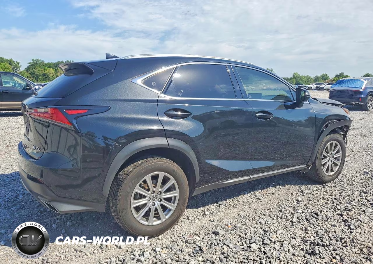 2021 Lexus Nx 300 Base VIN:JTJDARBZ2M2198618 - 3