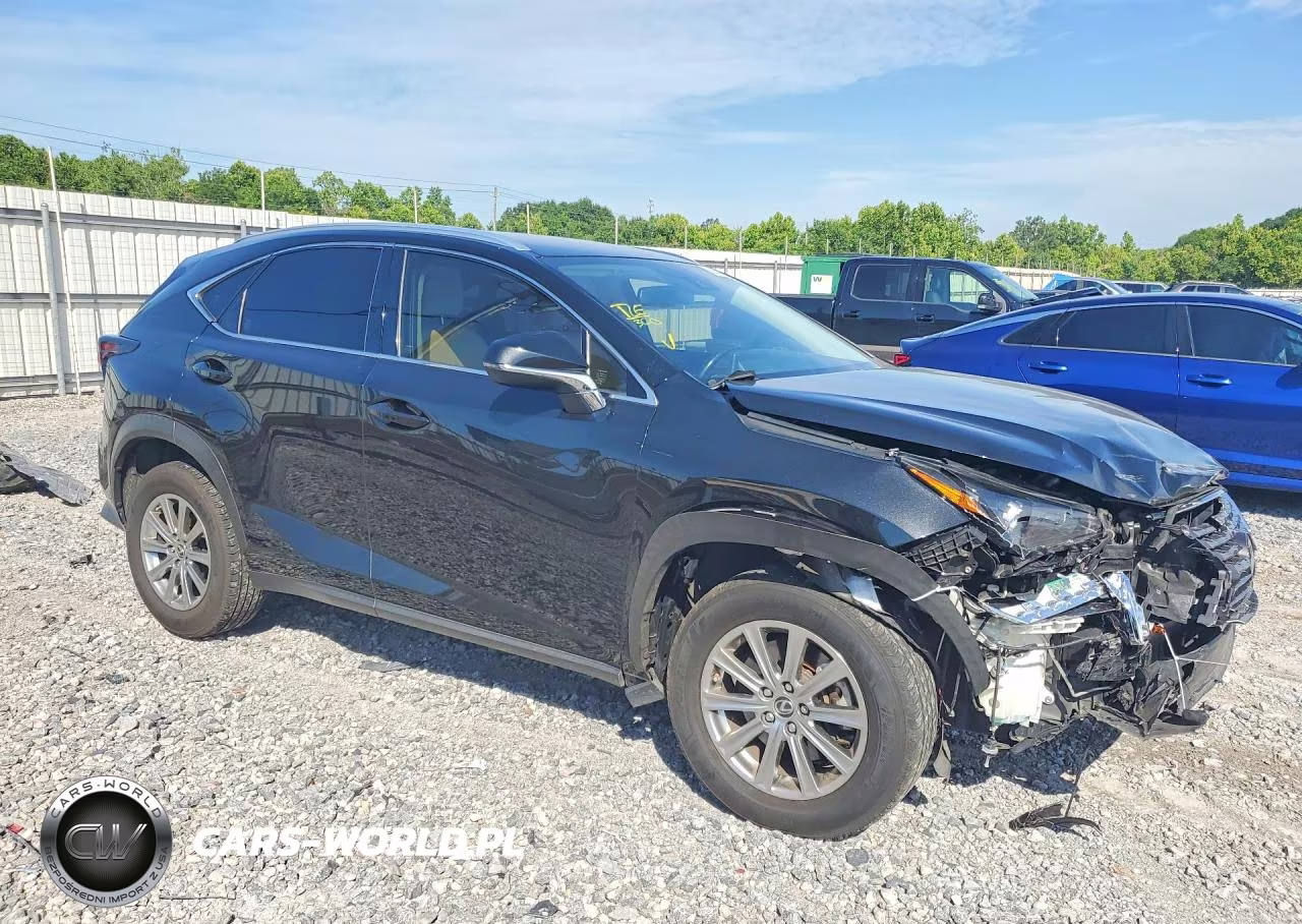 2021 Lexus Nx 300 Base VIN:JTJDARBZ2M2198618 - 4
