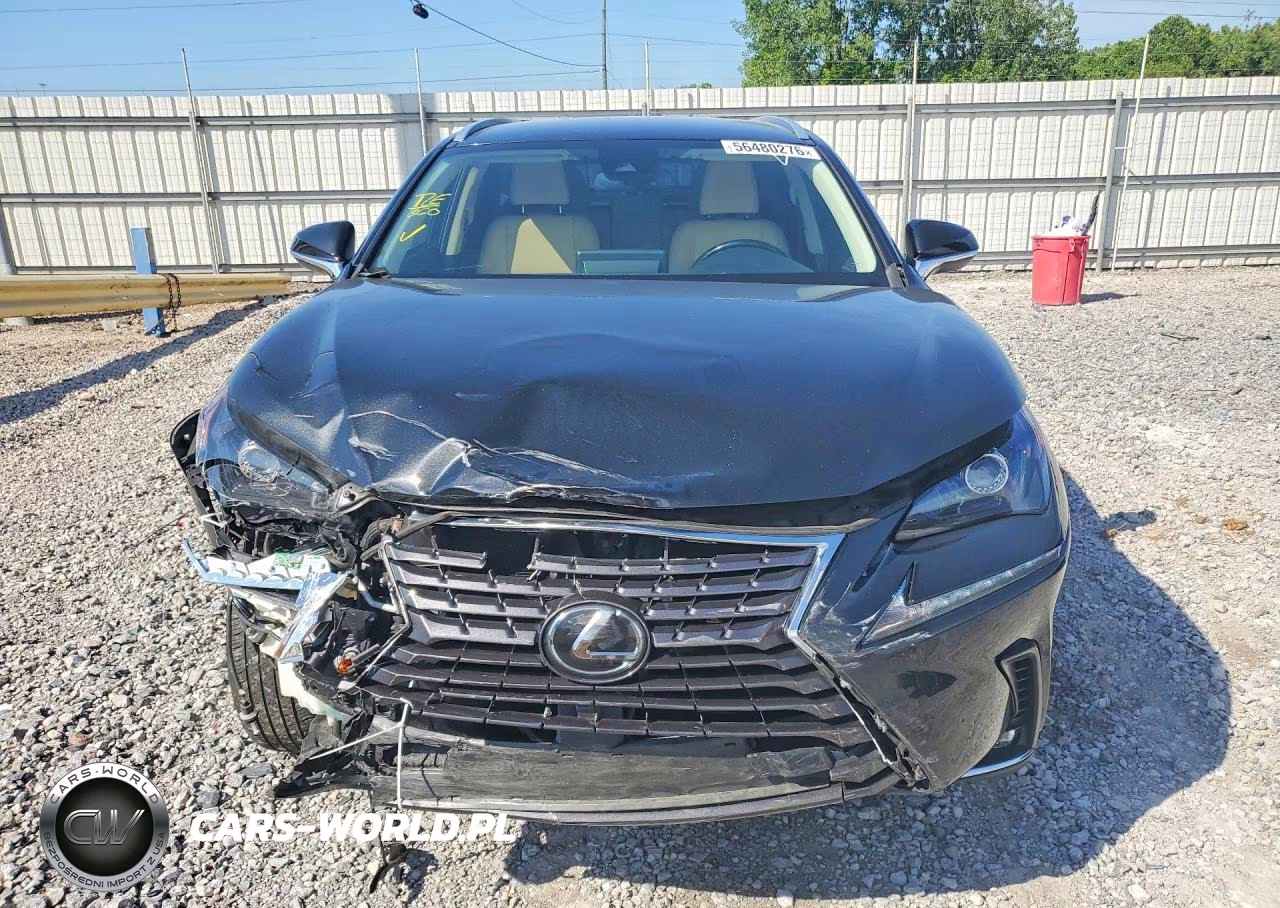 2021 Lexus Nx 300 Base VIN:JTJDARBZ2M2198618 - 5
