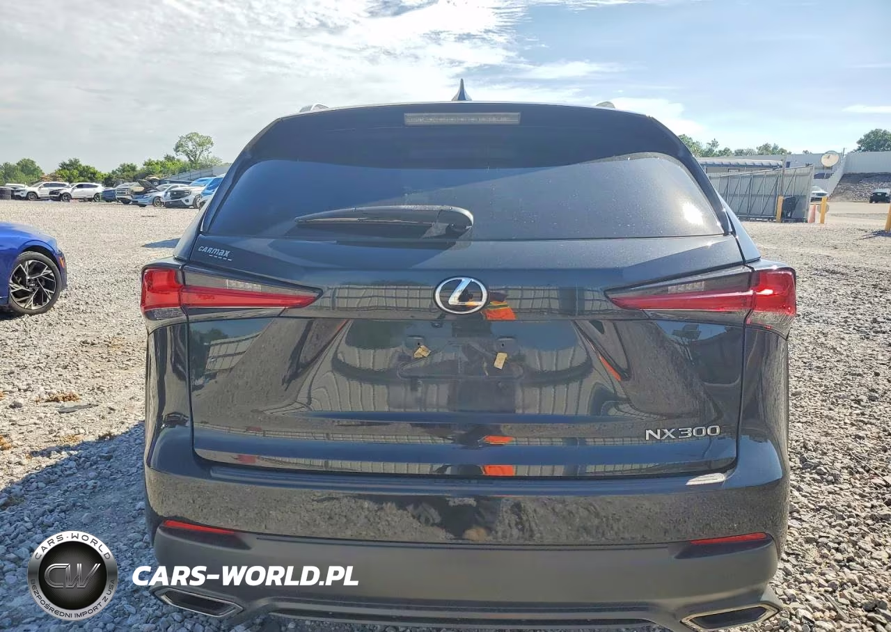 2021 Lexus Nx 300 Base VIN:JTJDARBZ2M2198618 - 6