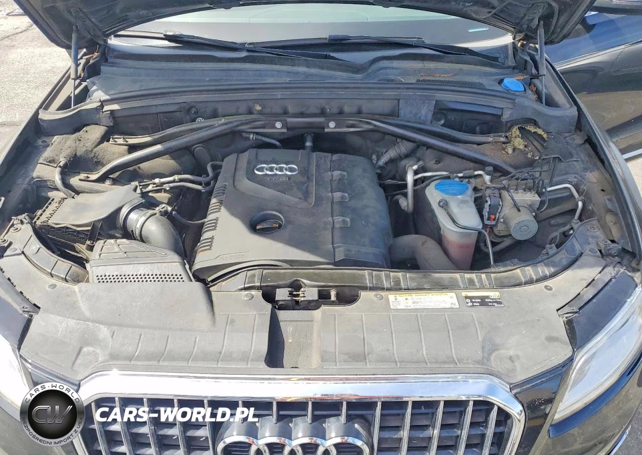2013 Audi Q5 Premium Plus VIN:WA1LFAFP1DA099346 - 11